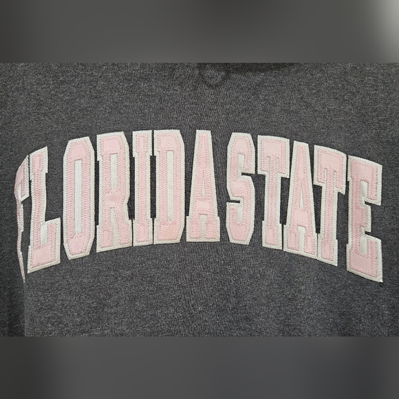 FLORIDA STATE UNIV Champion Hoodie Size Large - Gray Light Pink White - Picture 3 of 6